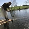 Fischbesatz nach Biberschaden 2022